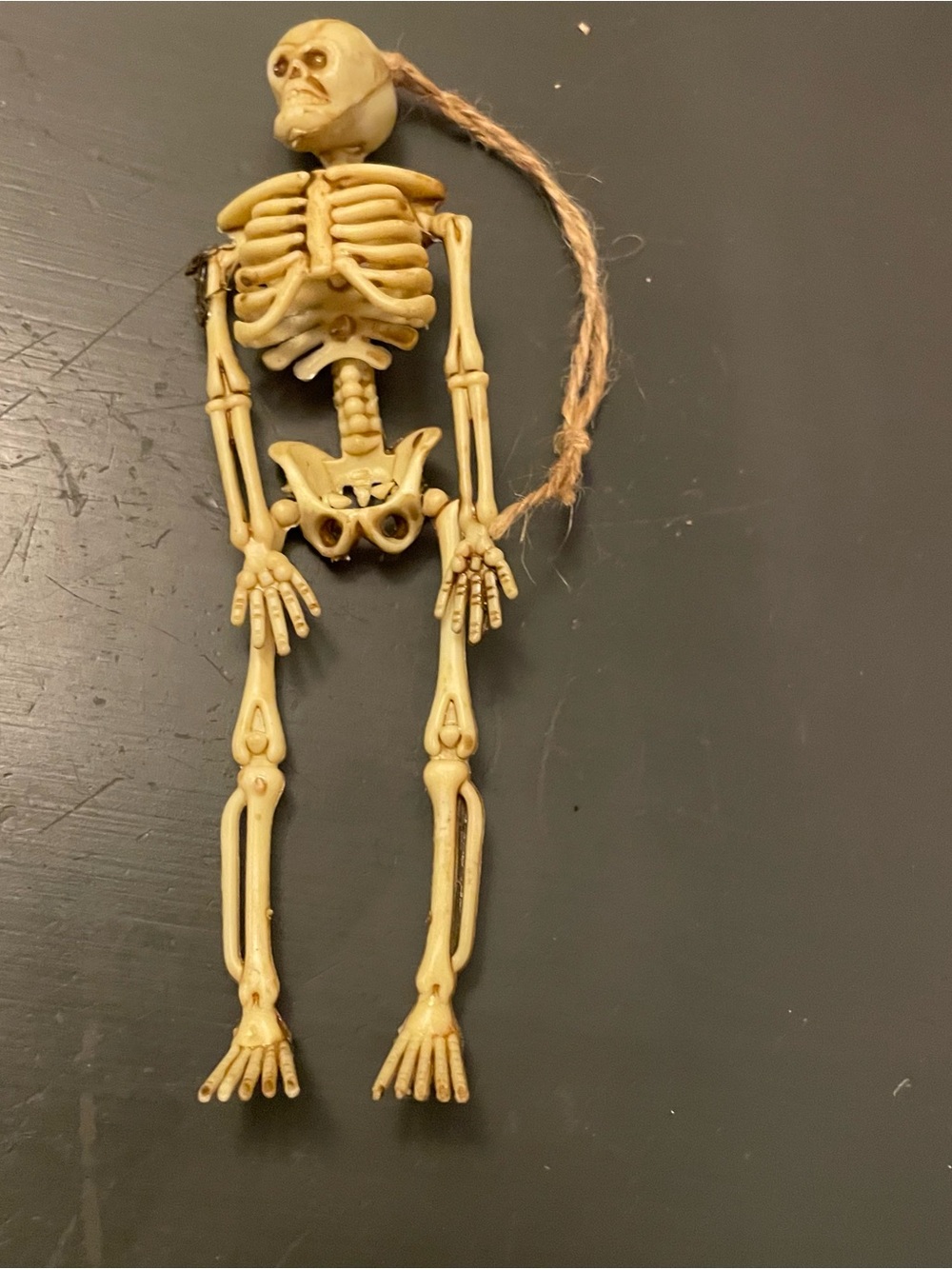 Hanging Mini Skeleton about 6inches tall Bone Color